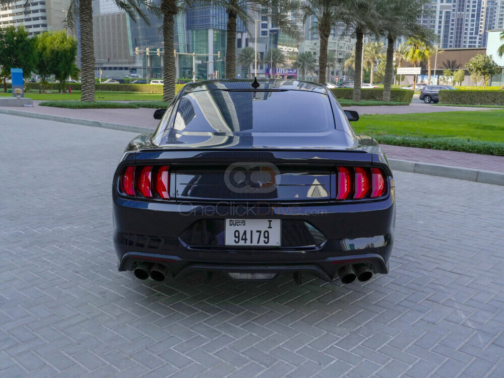 ezgif.com-gif-maker (1)