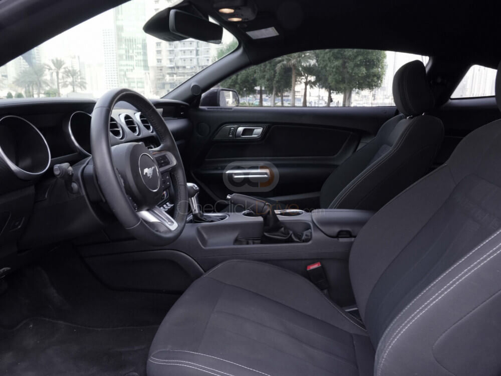 ezgif.com-gif-maker (2)