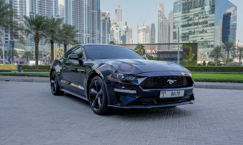 ezgif.com-gif-maker (6)