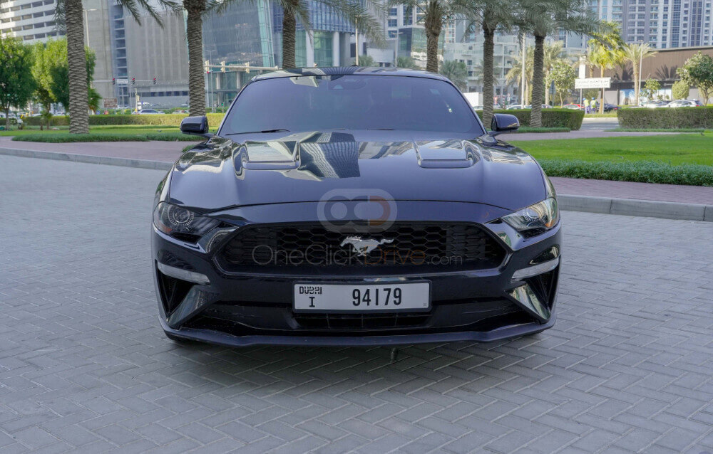 ezgif.com-gif-maker (7)